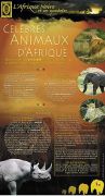 afrique5
