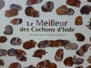 meilleurcoconindecouv