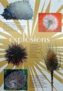 explosion