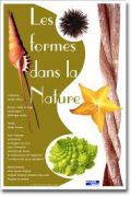 formedanslanaturevisuel