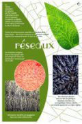 reseaux