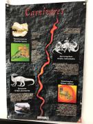 Dinosaures-2