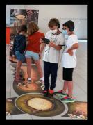 focus-tapis-souche